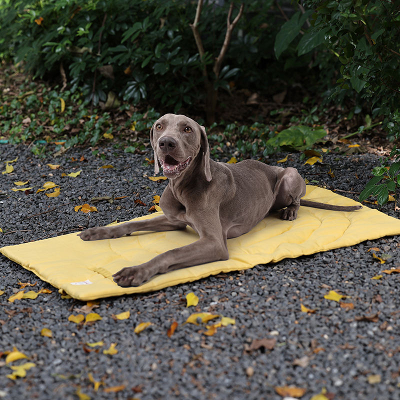 حصيرة الحيوانات الأليفة المحمو - مراجعة Outdoor Camping Dog Fence وسعره